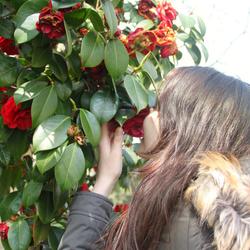 user profile picture