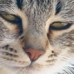 user profile picture