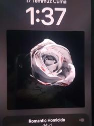 user profile picture