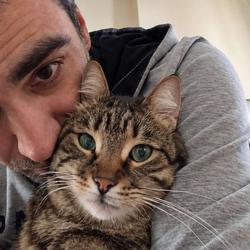 user profile picture