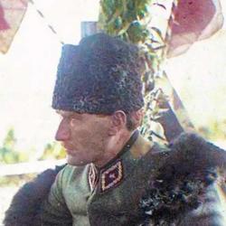user profile picture