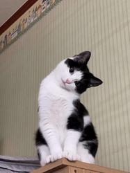 user profile picture