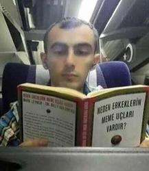 user profile picture