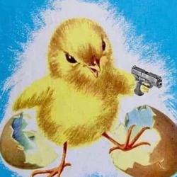 user profile picture