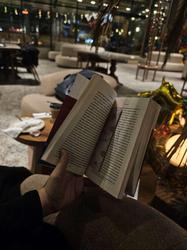 user profile picture