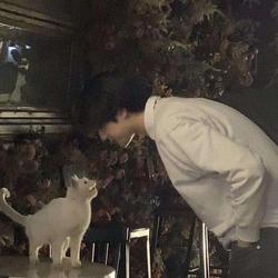 user profile picture