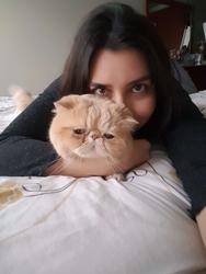 user profile picture