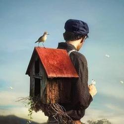 user profile picture