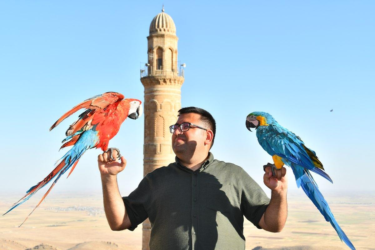 user profile picture