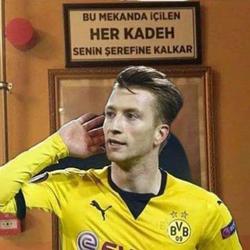 user profile picture