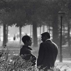 user profile picture