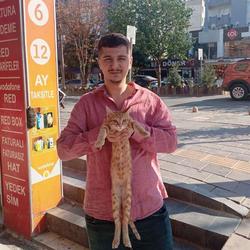 user profile picture