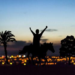 user profile picture