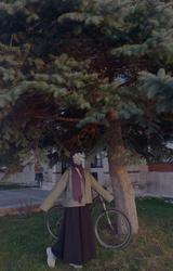 user profile picture