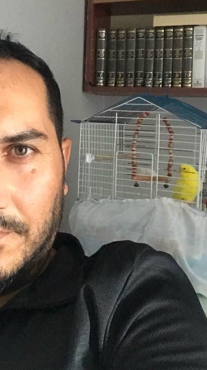 user profile picture