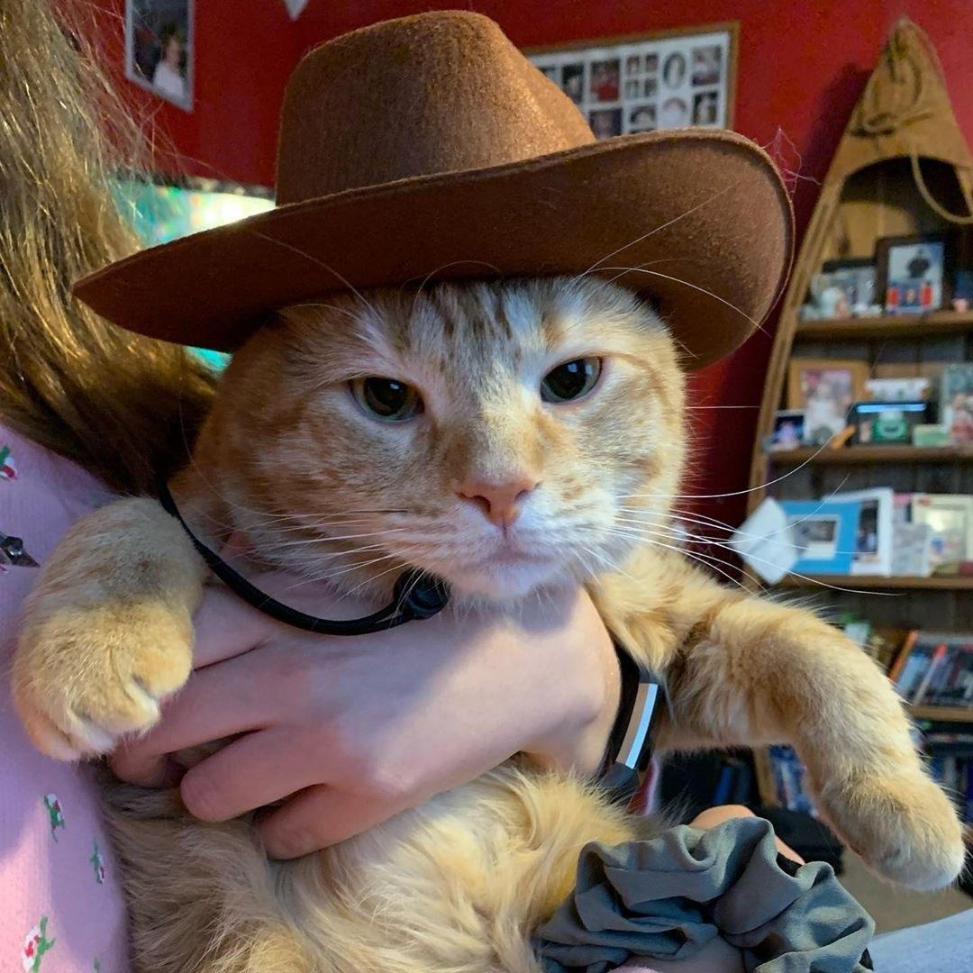 user profile picture