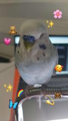 user profile picture