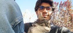 user profile picture