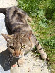 user profile picture