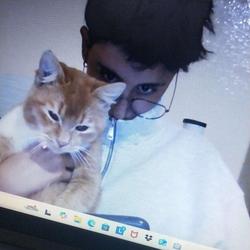 user profile picture