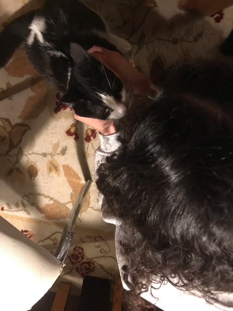 user profile picture