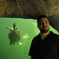 user profile picture