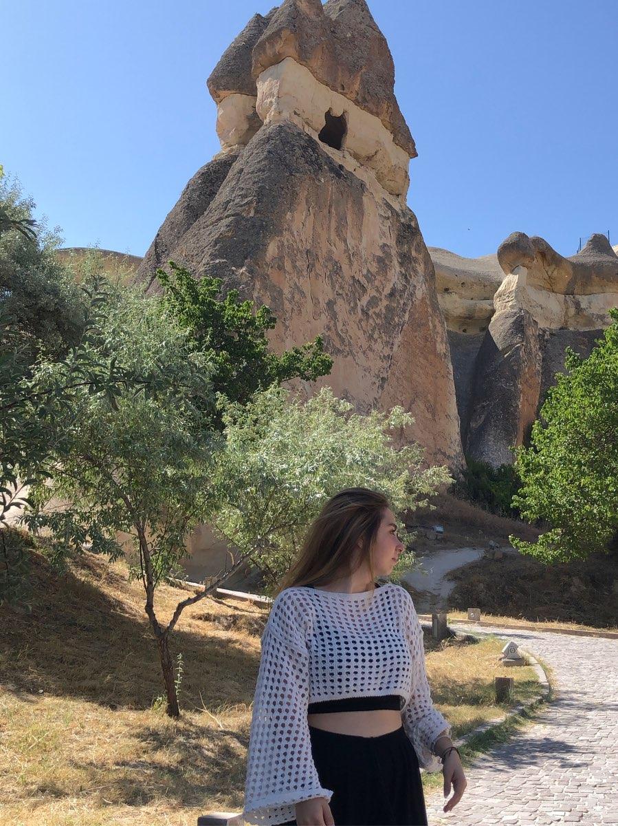 user profile picture