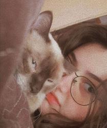 user profile picture