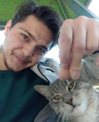 user profile picture