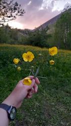 user profile picture