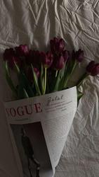 user profile picture