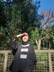 user profile picture