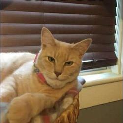 user profile picture