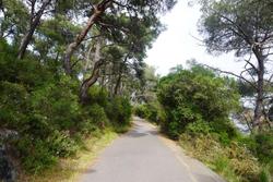 user profile picture