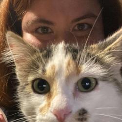 user profile picture