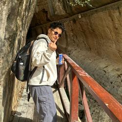 user profile picture