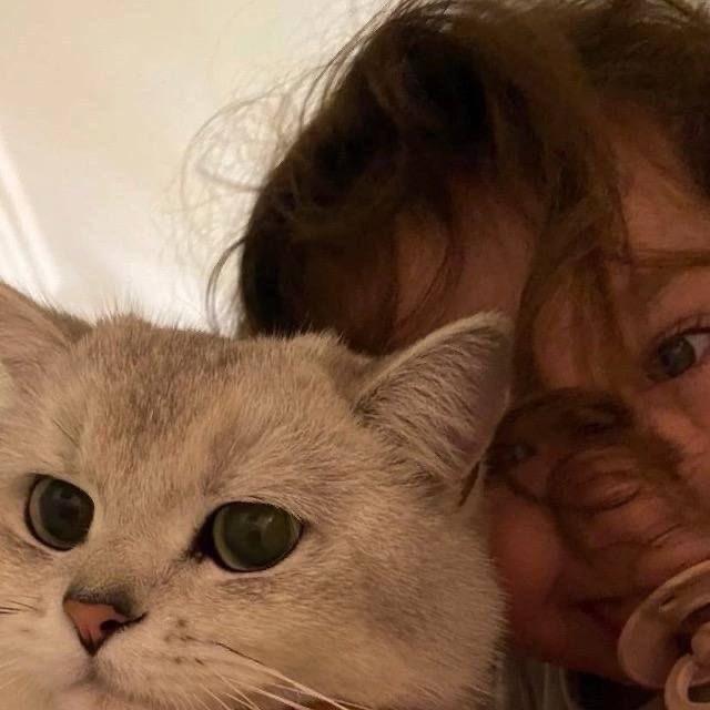 user profile picture