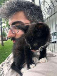 user profile picture