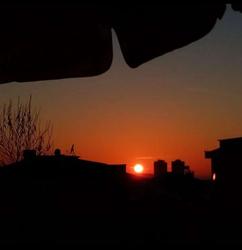 user profile picture