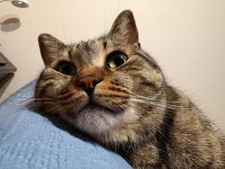 user profile picture