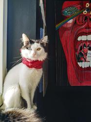 user profile picture