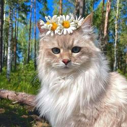 user profile picture