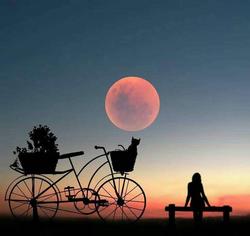 user profile picture