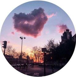 user profile picture