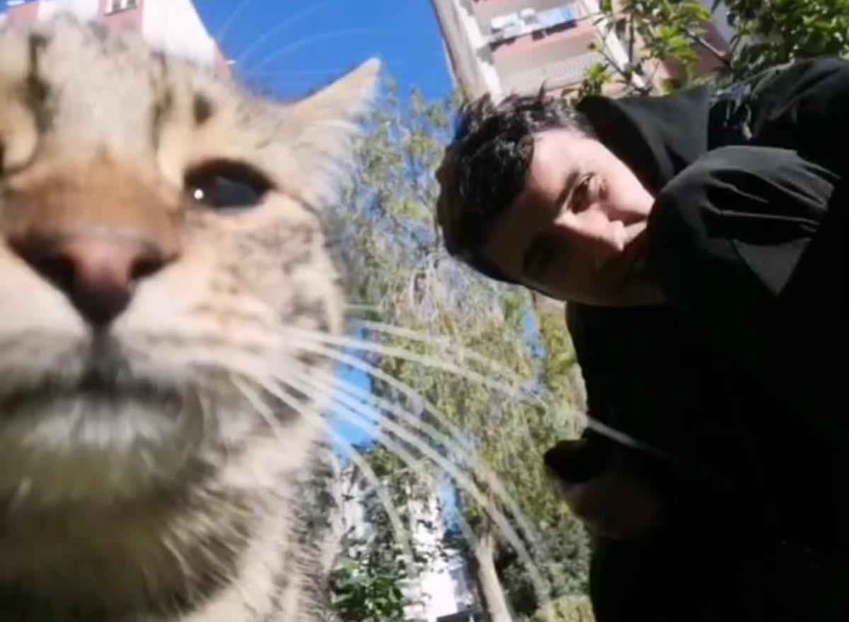 user profile picture