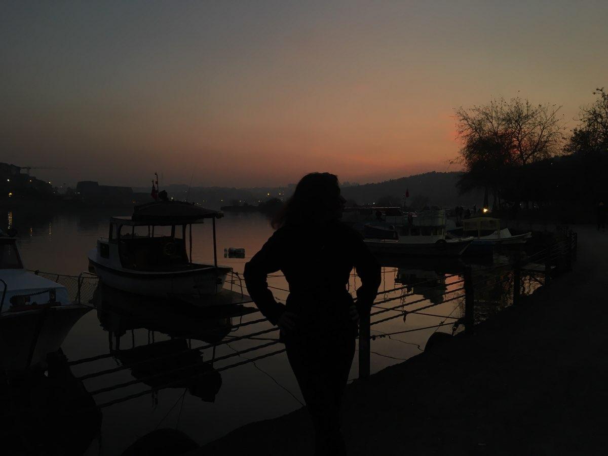 user profile picture