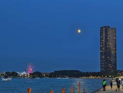 user profile picture