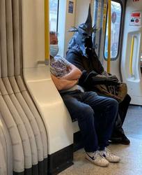 user profile picture