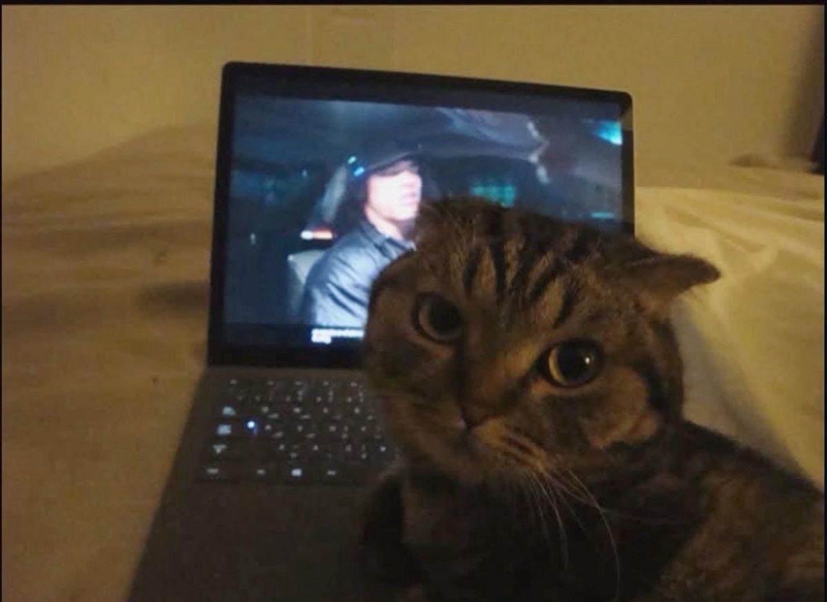 user profile picture