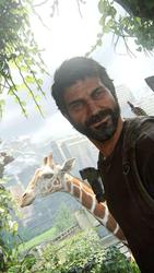 user profile picture